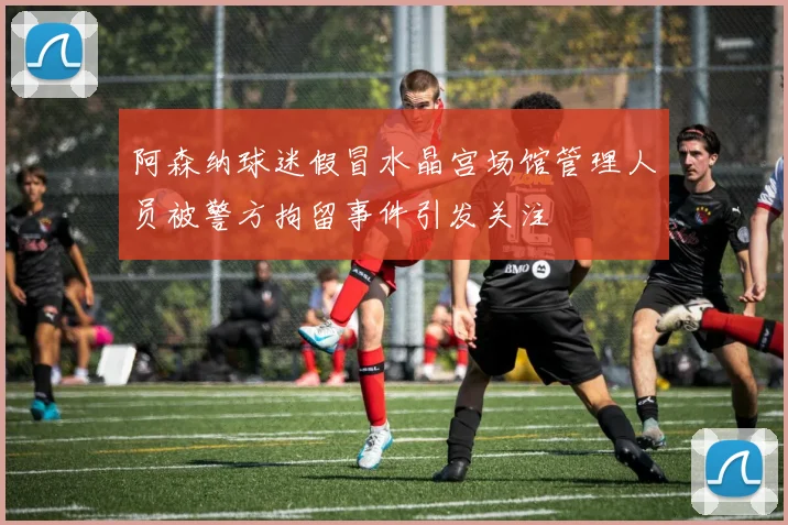 阿森纳球迷假冒水晶宫场馆管理人员被警方拘留事件引发关注