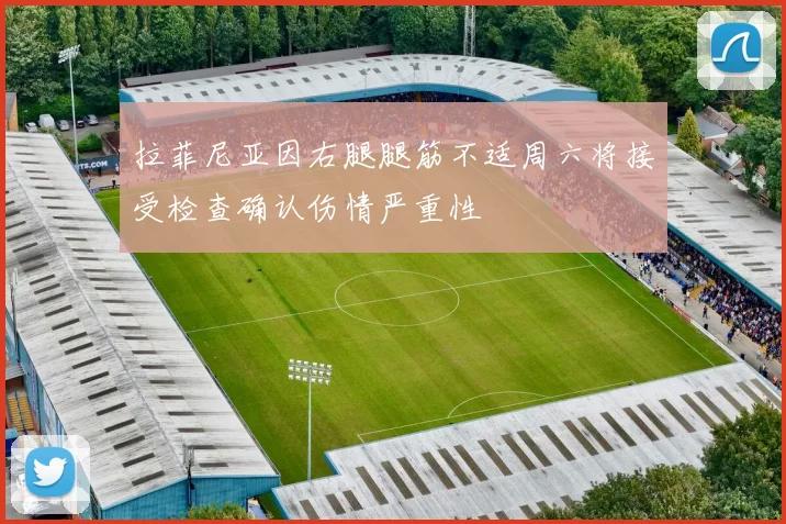 拉菲尼亚因右腿腿筋不适周六将接受检查确认伤情严重性